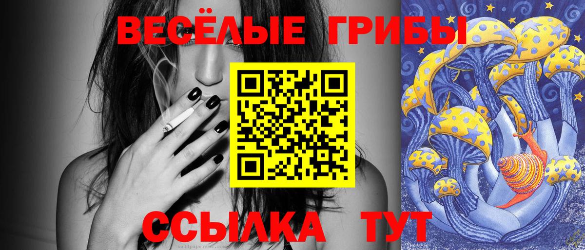 Галлюциногенные грибы GOLDEN TEACHER  хочу наркоту  Владимир  Вход с VPN  Галлюциногенные грибы MAGIC MUSHROOMS 
