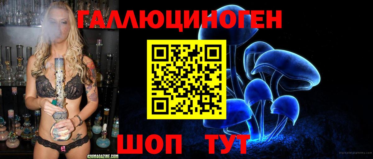 Псилоцибиновые грибы мицелий Владимир
